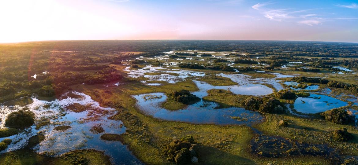 Vista aérea para o Pantanal - Getty Images/iStockphoto