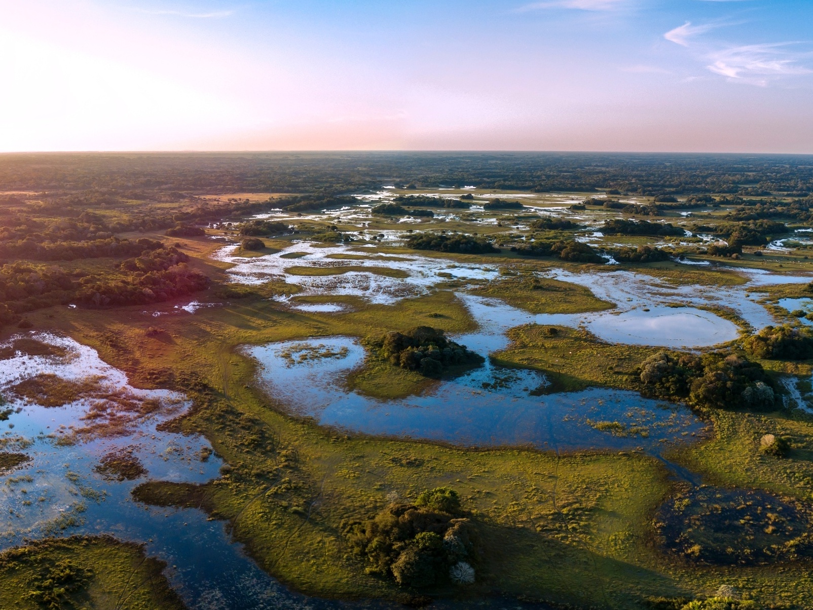 Passeios no Pantanal: por que fazer cavalgada no cerrado do Mato Grosso? -  Rede de Hotéis Mato Grosso
