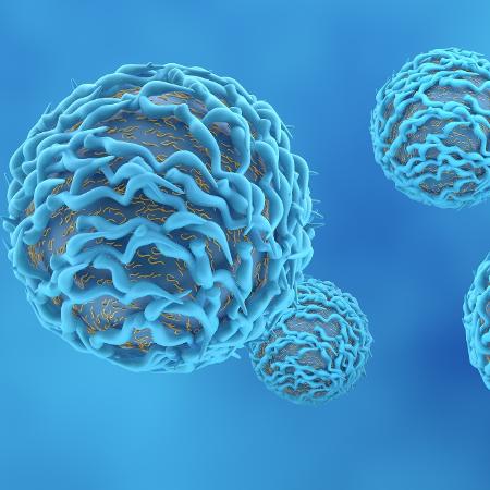 Células T têm atuação mais ampla e conseguiriam combater até as variantes do novo coronavírus - iStock