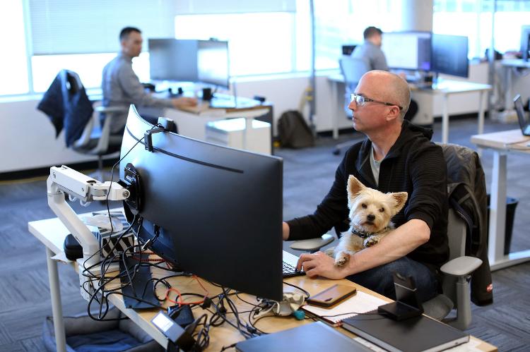 Samson and Trevor Watt in the office - Dave Chan/AFP - Dave Chan/AFP