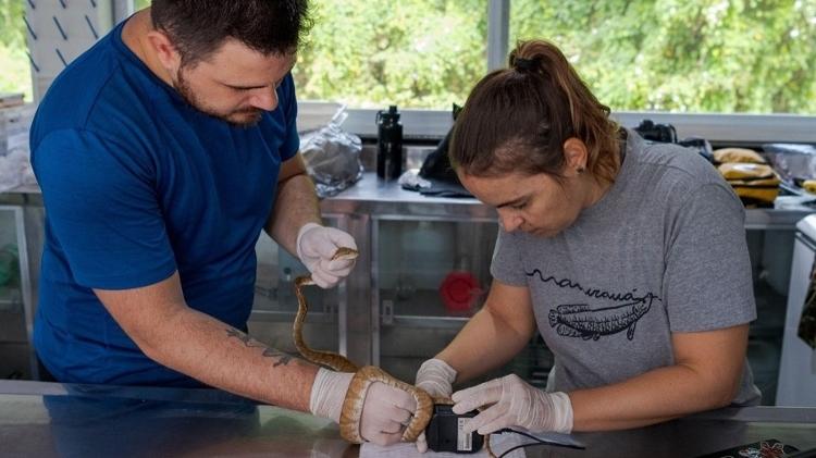 Especialistas utilizam tecnologia NIR para análises em laboratório Especialistas utilizam tecnologia NIR para análises em laboratório