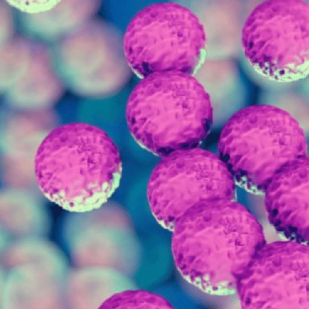 Uso excessivo de antibióticos apressa o surgimento de superbactérias resistentes - GETTY IMAGES