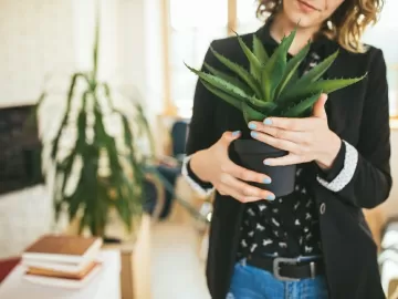 Casa com 'ar pesado'? Márcia Sensitiva lista plantas para mudar energia