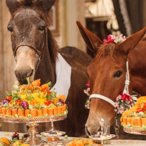 Casamento dos burros Policarpo e Rita em "Êta Mundo Bom" - Artur Meninea/TV Globo - Artur Meninea/TV Globo