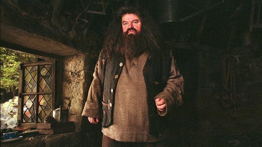 Robbie Coltrane em cena no filme "Harry Potter e o Prisioneiro de Azkaban" (2004) - Divulgação