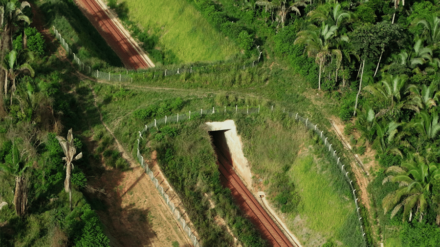 Os primeiros viadutos para passagem de animais silvestres no Brasil foram construídos no ramal ferroviário que liga a mina da Vale em Canaã dos Carajás a Parauapebas, no Pará - Vale/Divulgação