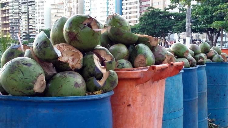 Castas de coco acabam em aterros sanitários e demoram até 15 anos para se decompor