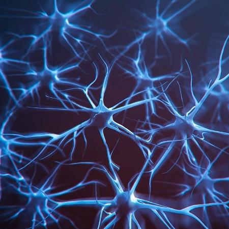 Pesquisadores da Plataforma Científica Pasteur vão usar minicérebros e neurônios obtidos a partir de células-tronco como modelo de estudo - iStock
