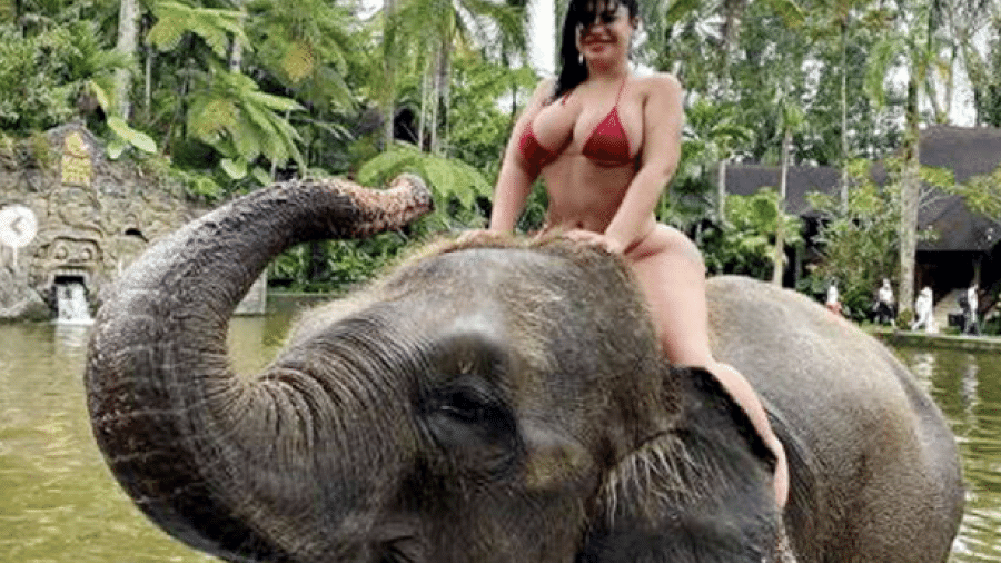Lissa Aires posa montada em elefante; foto foi postada no OnlyFans - Divulgação | CO Assessoria