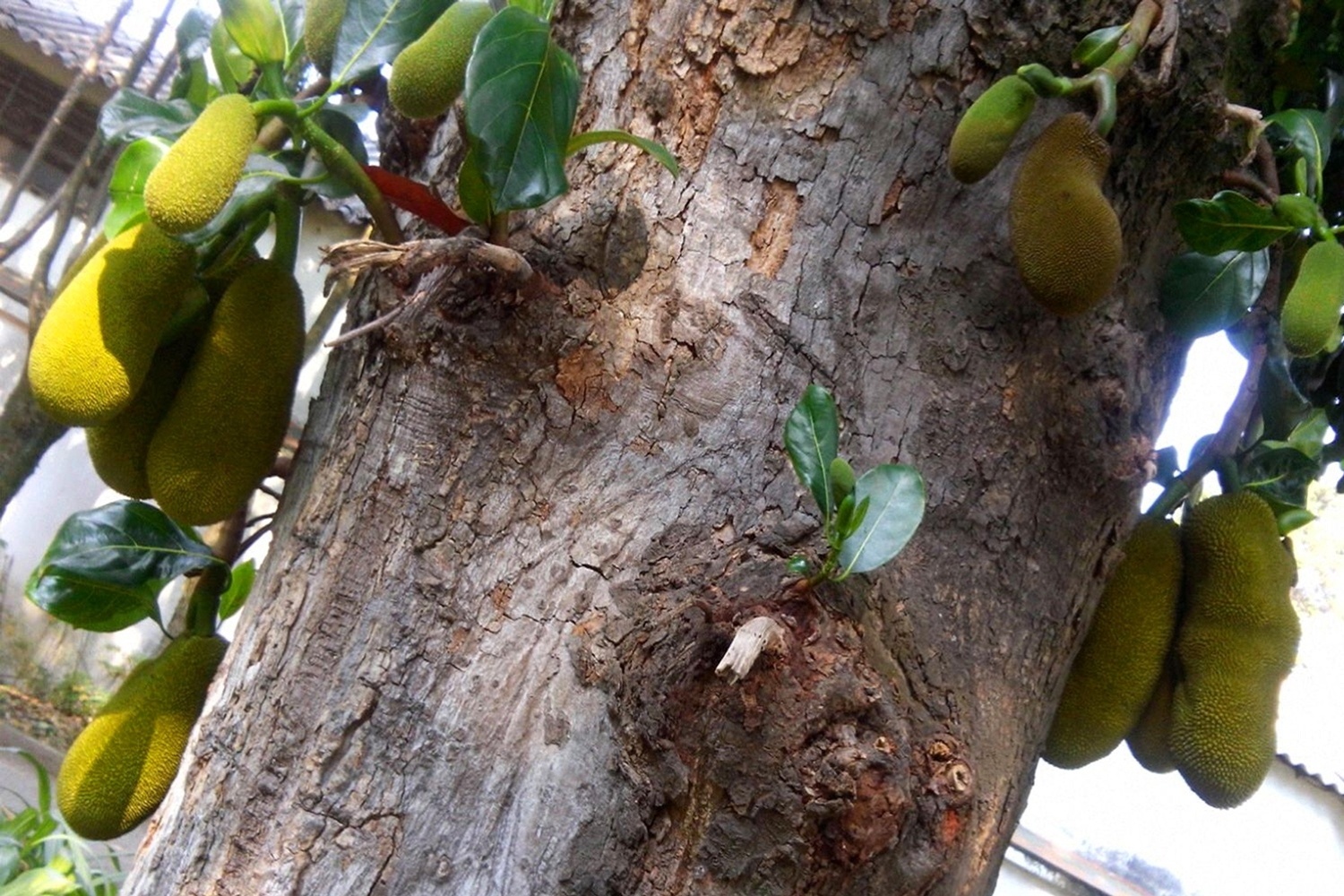Foto de Sirlem de Souza. Dez alunos do Curso de Fotografia para Deficientes Visuais, da Pinacoteca do Estado de São Paulo,  expõem seus trabalhos no museu a partir do dia 28 de novembro na mostra "Transver - fotografias feitas por pessoas com deficiência visual", que fica em cartaz até dia 3 de abril de 2016. - Sirlem de Souza