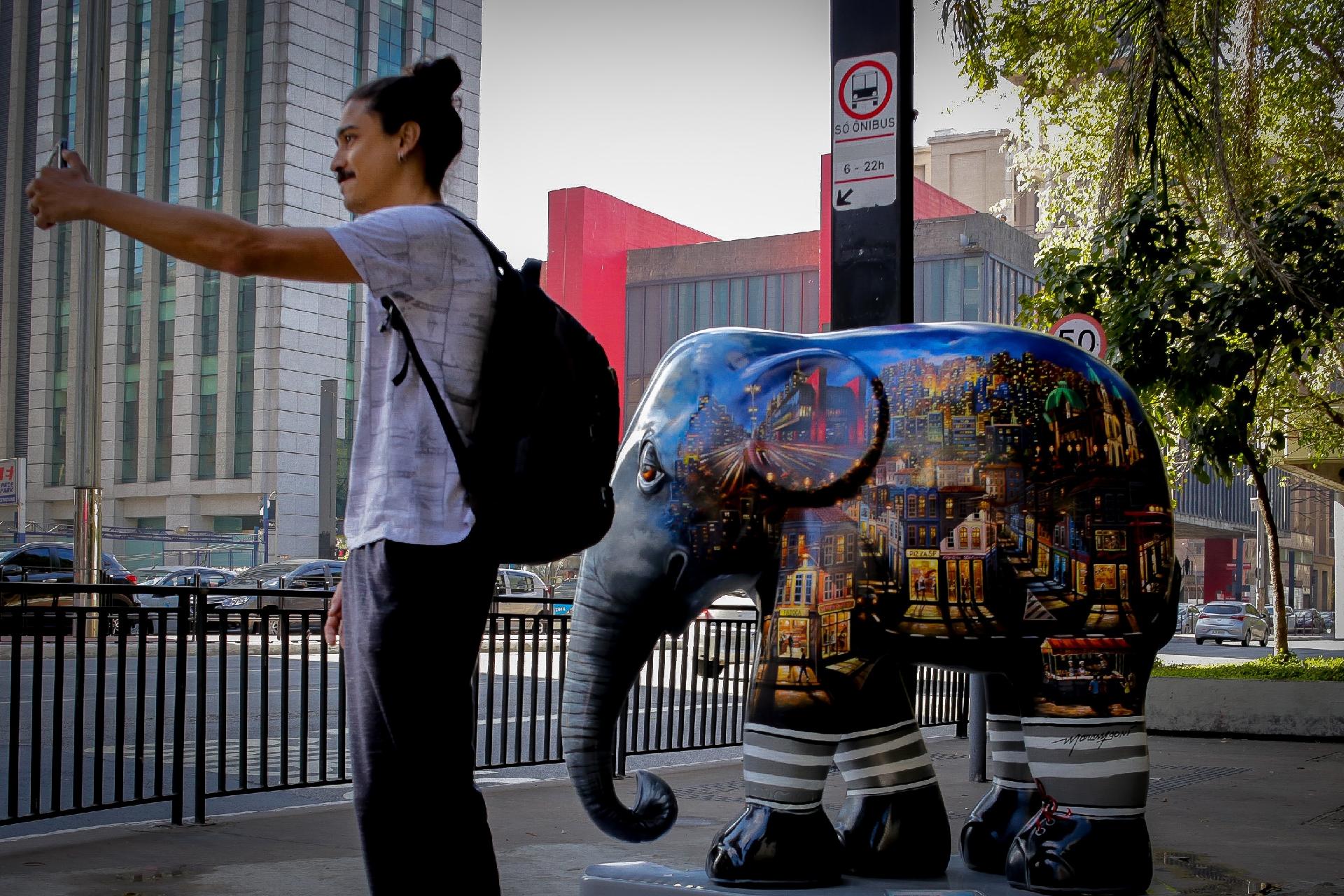 Obra da Elephant Parade, que chegou a São Paulo nesta terça (1°) - Dario Oliveira / Estadão Conteúdo