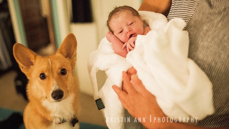 Corgi acompanha parto - Kristin Ann Photo - Kristin Ann Photo