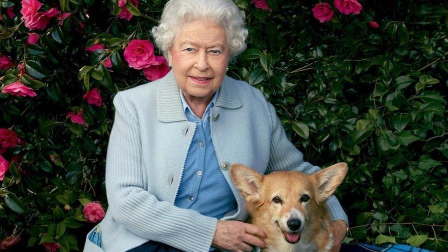 A rainha Elizabeth 2ª com um de seus corgis em 2016 - Reprodução/Annie Leibovitz/Vanity Fair