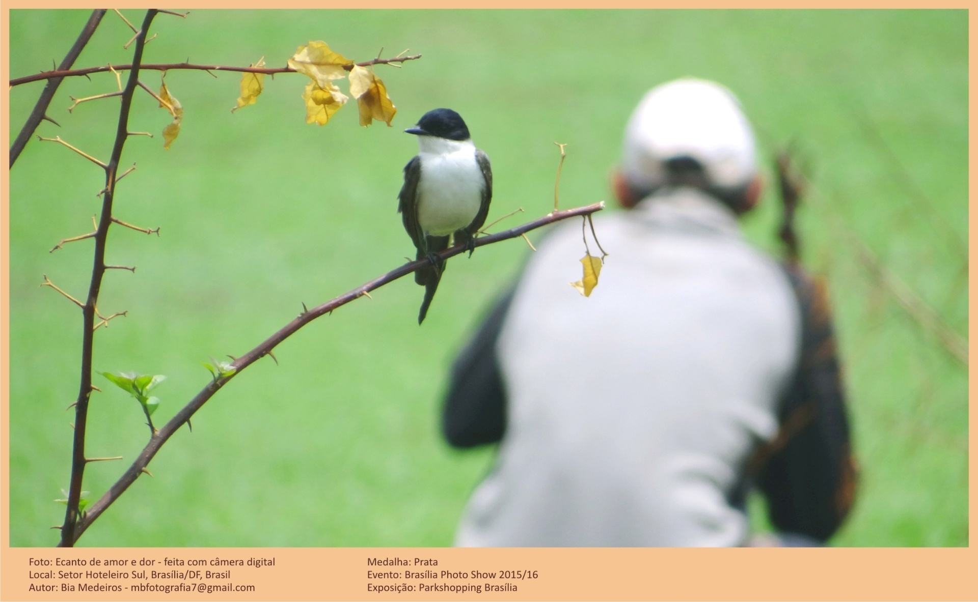 Fotos vencedoras do Brasília Photo Show 2015/2016 estão no Park Shopping (SAI/SO Área 6580 - Guará) de 3 de março a 30 de outubro, com visitação gratuita. Foto de Bia Medeiros, de Brasília - Bia Medeiros