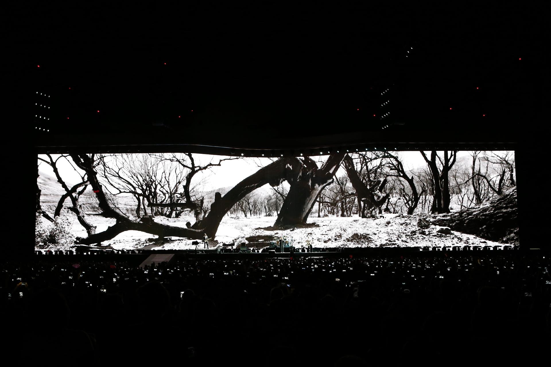 U2 abre turnê brasileira com show no estádio do Morumbi, em São Paulo - Lucas Lima/UOL