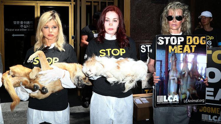 As atrizes Priscilla Presley (centro) e Kim Basinger (dir.) fazem protesto em Los Angeles - Frederick M. Brown/Getty Images - Frederick M. Brown/Getty Images