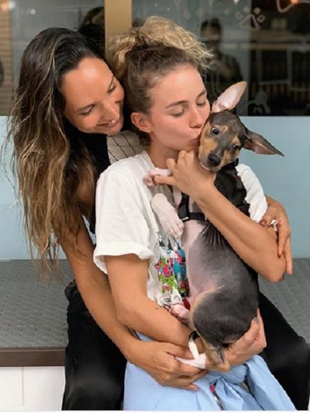 Bartô, "filho" de Maria Maya e Laryssa Alves, se acidenta e preocupa "mães" - Reprodução/Instagram