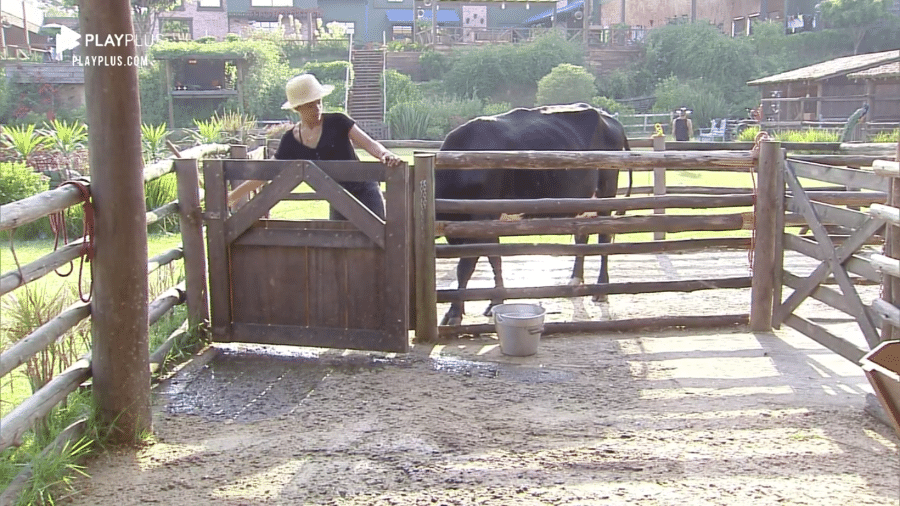 A Fazenda 2020: Lidi Lisboa cuida da vaca e diverte o público enquanto conversa com o animal - Reprodução/RecordTV