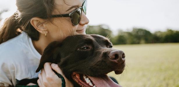Não é fome! Expressão do rosto humano pode explicar hábito curioso dos cães