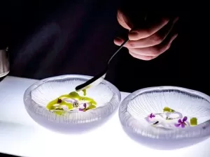 Água-viva e borboleta no prato: restaurante-laboratório revoluciona à mesa