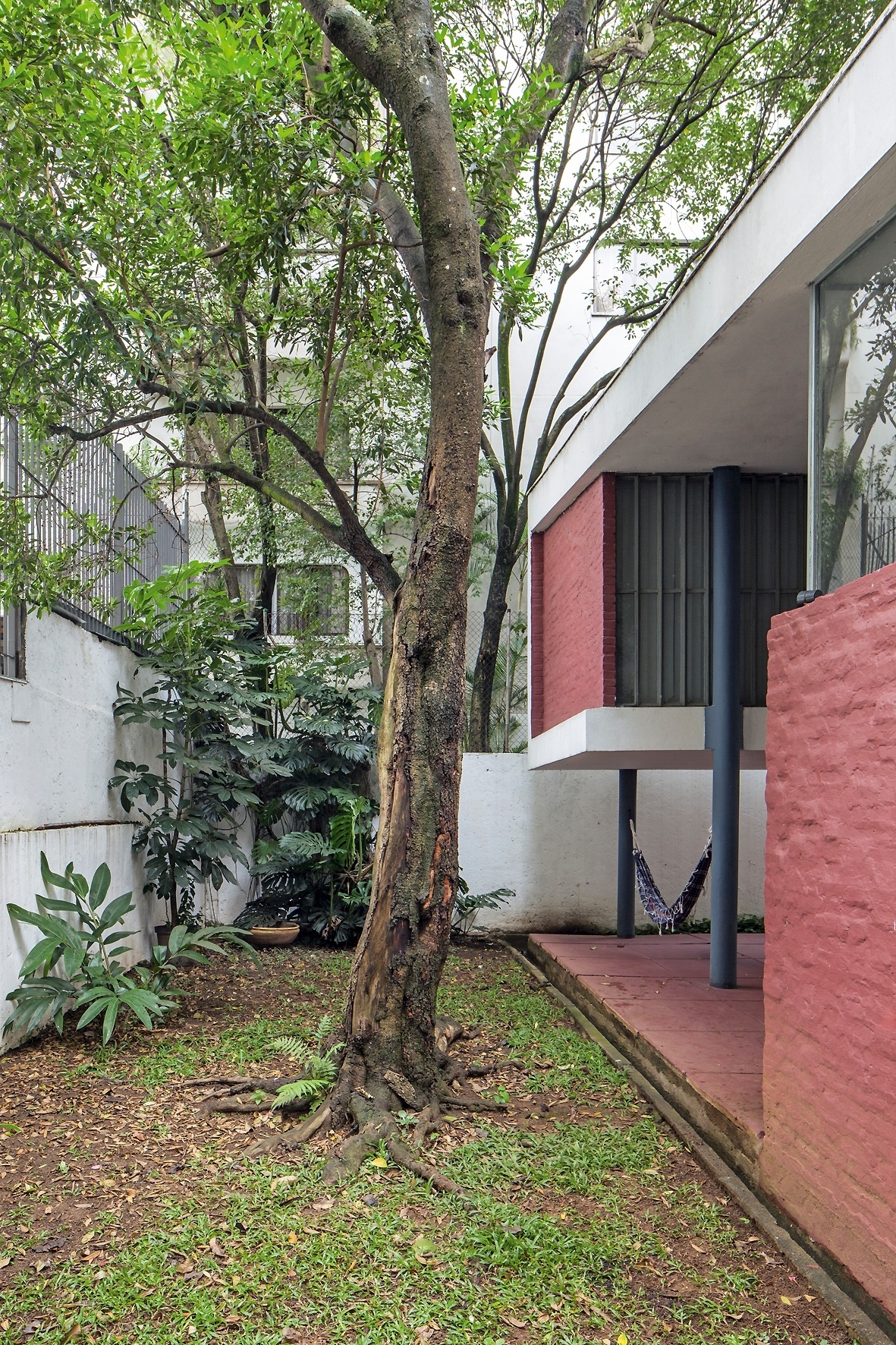 O quintal, com suas árvores frondosas (entre elas a figueira plantada pela proprietária, Virginia Artigas), o terraço e as cores - branco, vermelho-terra e azul acinzentado - escolhidas pelo autor do projeto, João Batista Vilanova Artigas (1915-1985), são constantes em vários de seus projetos. Destaque, ainda, para o terraço com pé-direito duplo e o estúdio sobre os pilotis, na Casa do Arquiteto, de 1949 - Leonardo Finotti/ UOL