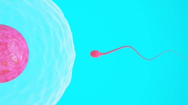 Genética da mãe pode favorecer sobrevivência de determinados espermatozoides em detrimento de outros Genética da mãe pode favorecer sobrevivência de determinados espermatozoides em detrimento de outros