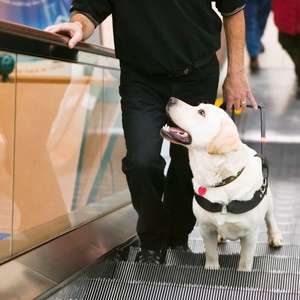 Jim Craigmyle/Getty Images
