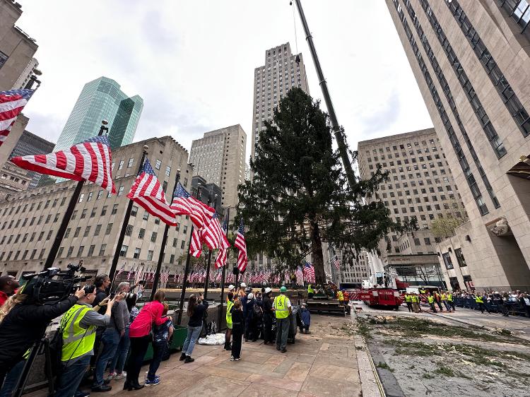 Árvore de Natal em Nova York - NEW YORK, NY - NOVEMBER 12: The Rockefeller Center Christmas tree was lifted into place after arriving in the plaza in New York City on Saturday (Nov. 12). About 100 spectators watched the lifting process of the 82-foot tall, 90-year-old Norway Spruce in the morning despite the rain. (Photo by Lokman Vural Elibol/Anadolu Agency via Getty Images) - Anadolu Agency/Anadolu Agency via Getty Images - Anadolu Agency/Anadolu Agency via Getty Images