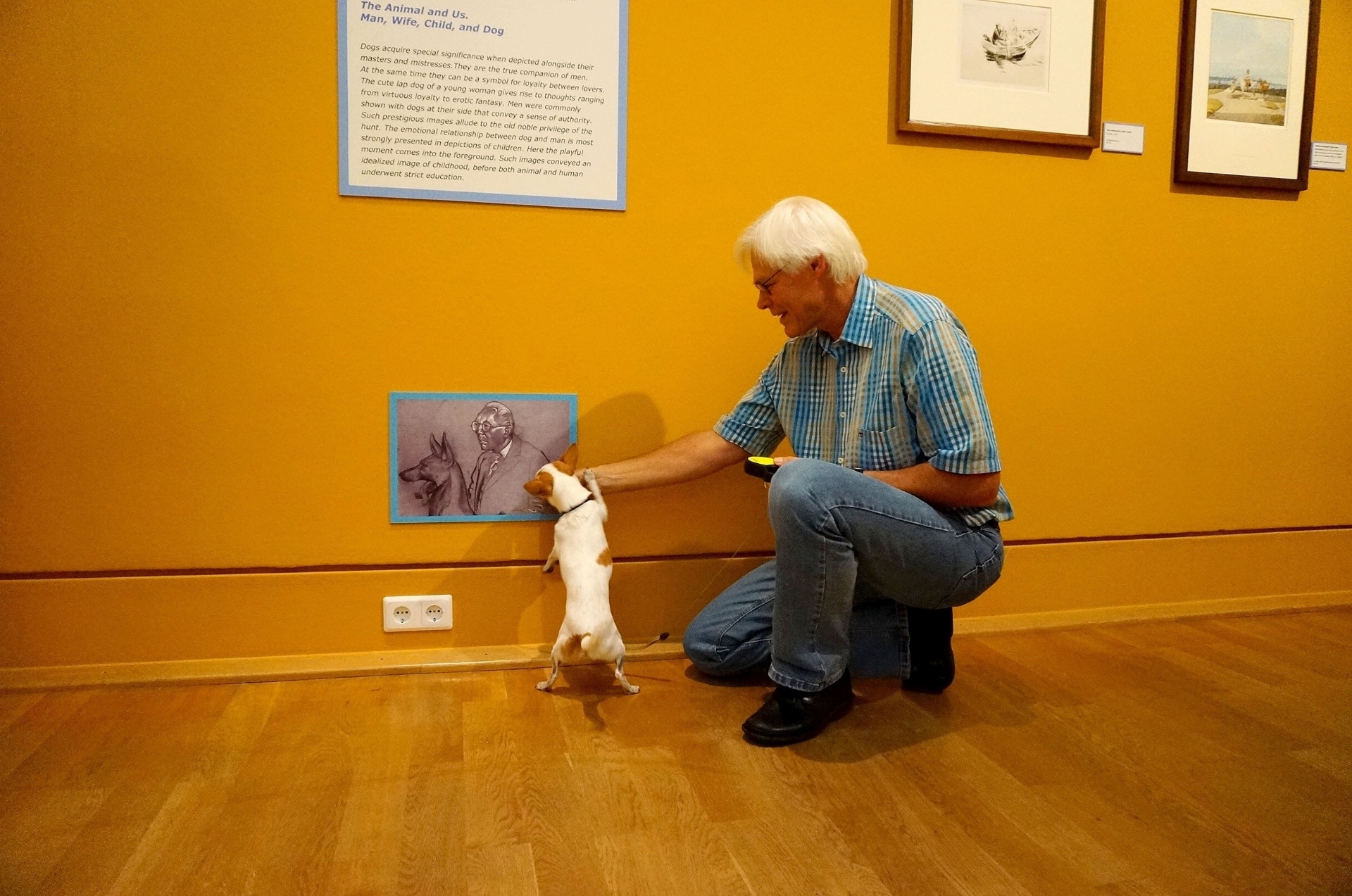 A exposição "Wir kommen auf den Hund", em cartaz até o dia 20 de setembro, reúne mais de 100 desenhos e gravuras em torno do tema canino. Há até quadros expostos na altura dos olhos dos animais - Clarissa Neher/BBC