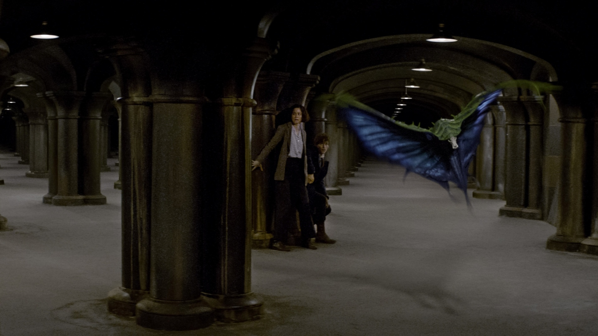 Cena do filme "Animais Fantásticos e Onde Habitam" (2016), de David Yates - Divulgação