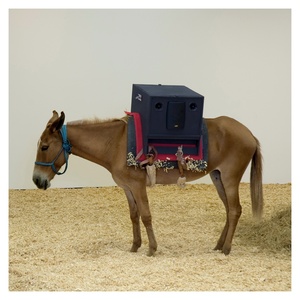 Capa do projeto Sambas Absurdos - Divulgação - Divulgação