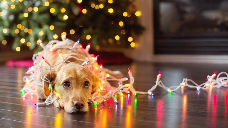 iStock