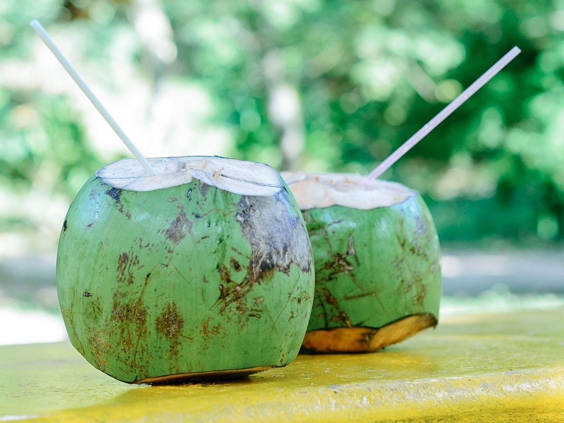 7 benefícios da água de coco e por que você deveria abusar da bebida