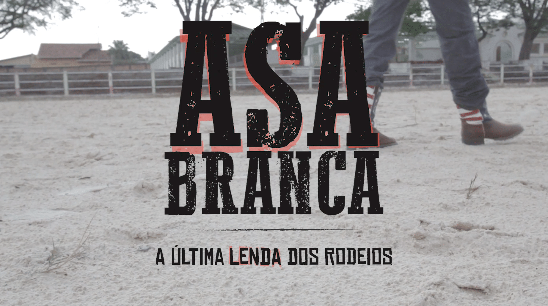 Cartaz do documentário sobre a vida de Asa Branca - Divulgação