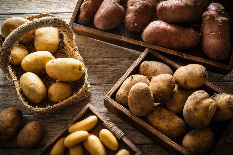 Batata não é tudo igual: conheça os tipos e aprenda 17 receitas ...