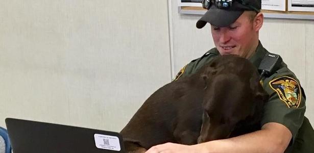o guarda florestal Levi Knach e o cão Kenobi - Divulgação/Indiana DNR Law Enforcement - Divulgação/Indiana DNR Law Enforcement