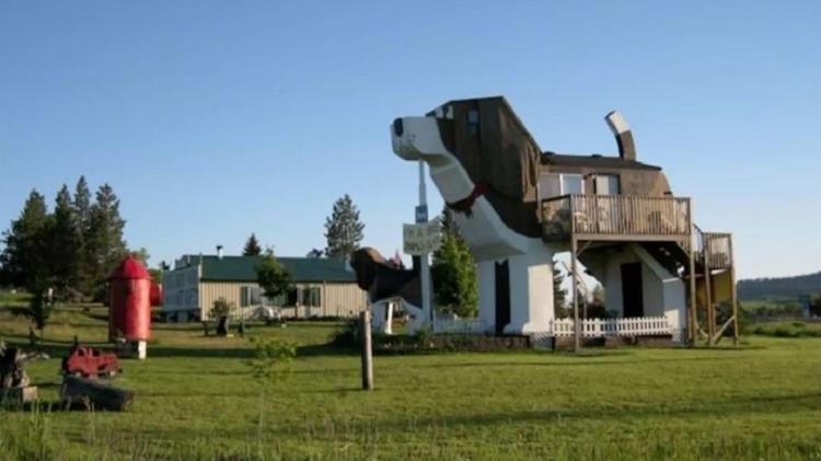 Dog Bark Park Inn   - Dog Bark Park Inn_Airbnb - Dog Bark Park Inn_Airbnb