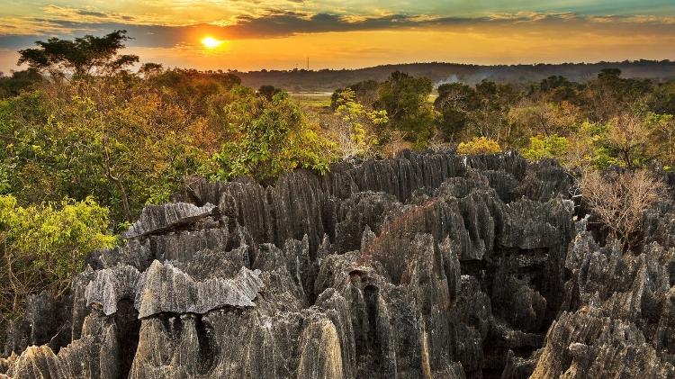 Fauna e flora características de Madagascar se encontram no Parque Nacional Tsingy de Bemaraha - Getty Images