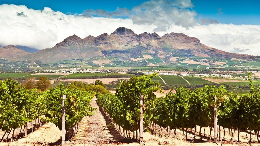 Stellenbosch: região com vinícolas turísticas perto da Cidade do Cabo, na África do Sul - Ferrantraite/Getty Images