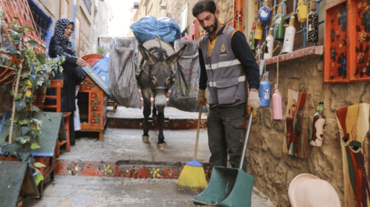 Jumentos são usados até hoje para tarefas surpreendentes, como limpar as ruas estreitas da cidade de Mardin, na Turquia - Anadolu Agency - Anadolu Agency