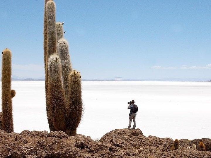 Os cactos gigantes são algumas das atrações do Salar de Uyuni - Renê Castro