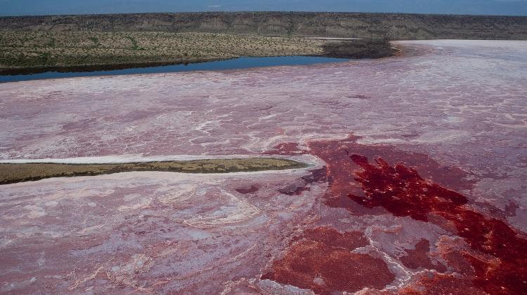 Bactérias estão entre os responsáveis pela coloração avermelhada do lago Natron - Getty Images/iStockphoto - Getty Images/iStockphoto