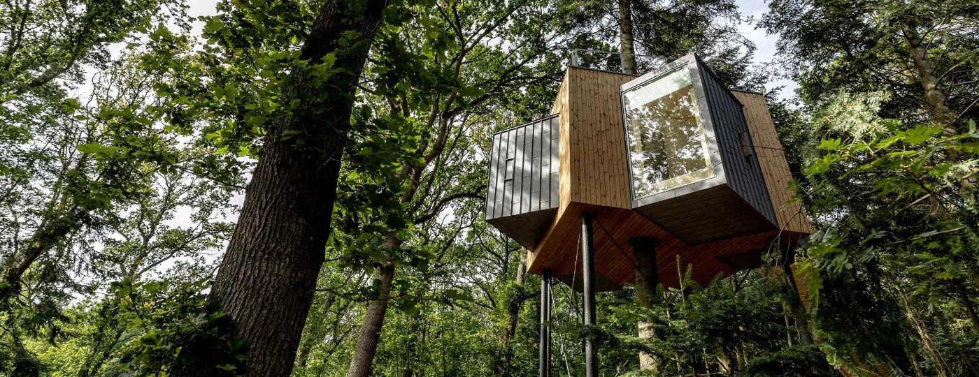 Com 31 metros quadrados, cabines recriam a experiência de cabana na floresta com modernidade e luxo - Divulgação