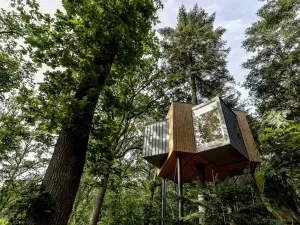 Hotel inspirado em casa na árvore tem quartos a até 8 metros do chão
