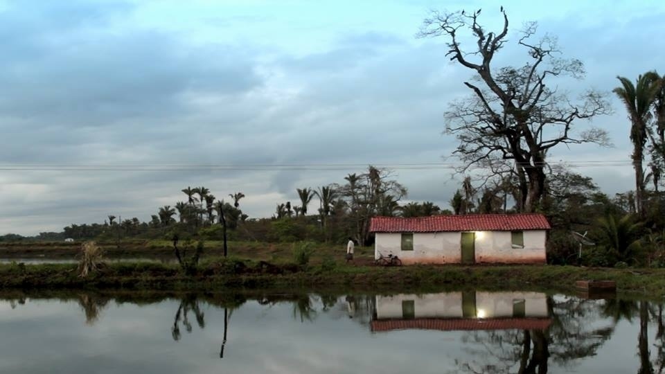 Cena do filme "O Signo das Tetas" - Reprodução