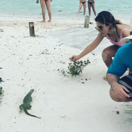 Tatá Werneck levou um susto com iguana - Reprodução/Instagram/tatawerneck
