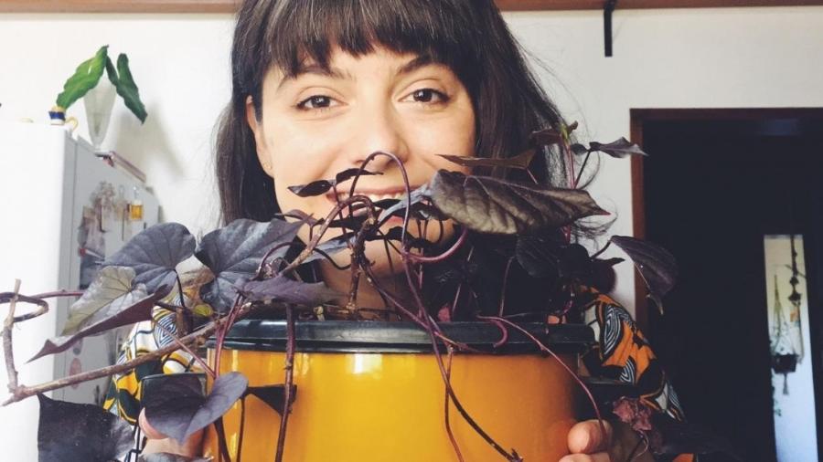 Thalita Cunha, da @nossa.amora, com sua batata doce já transplantada em um vaso - Reprodução/Instagram