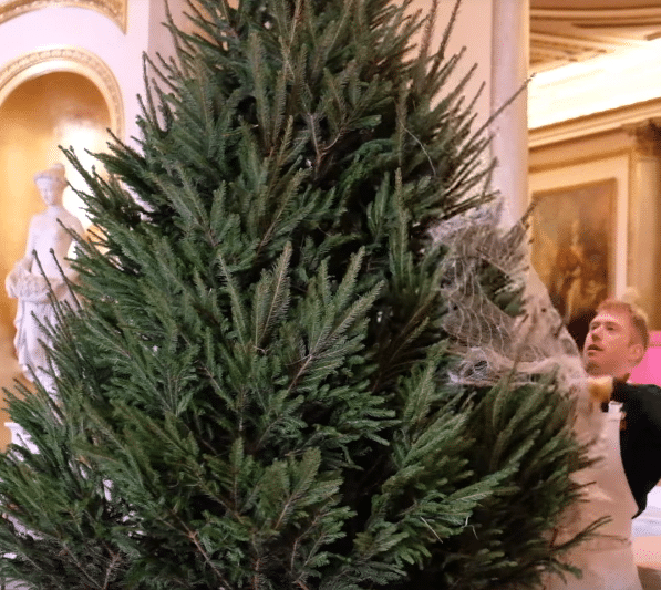 Rainha Elizabeth abre as portas do palácio e mostra sua decoração de Natal - Reprodução/Youtube