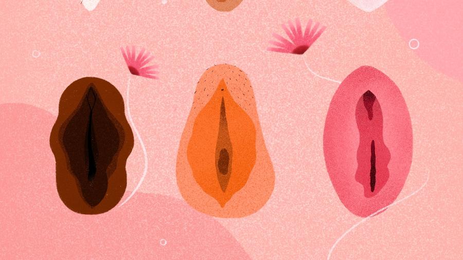 Há diferentes tipos de vulvas - e tá tudo bem com isso!