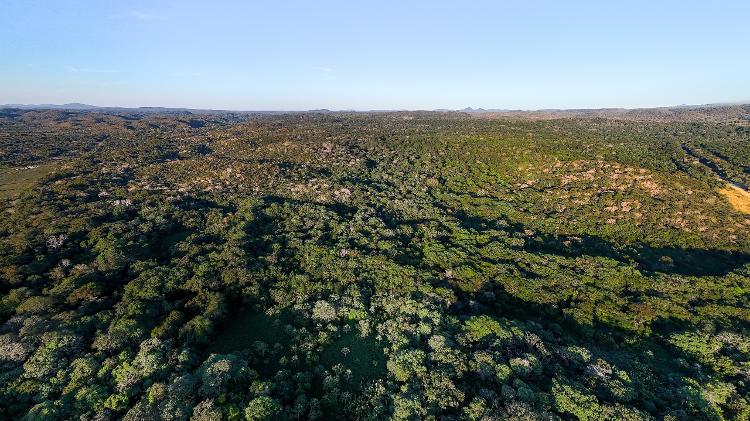 Vista aérea de parte da Fazenda Bodoquena, em Miranda (MS) Vista aérea de parte da Fazenda Bodoquena, em Miranda (MS)
